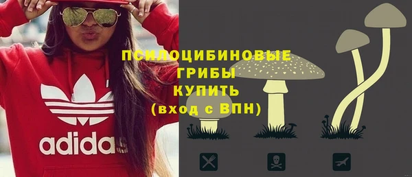 2c-b Михайлов