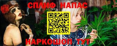 наркотики Кингисепп