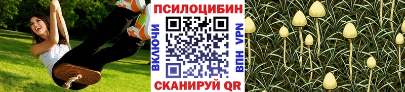 Галлюциногенные грибы прущие грибы  kraken tor  Лесной 