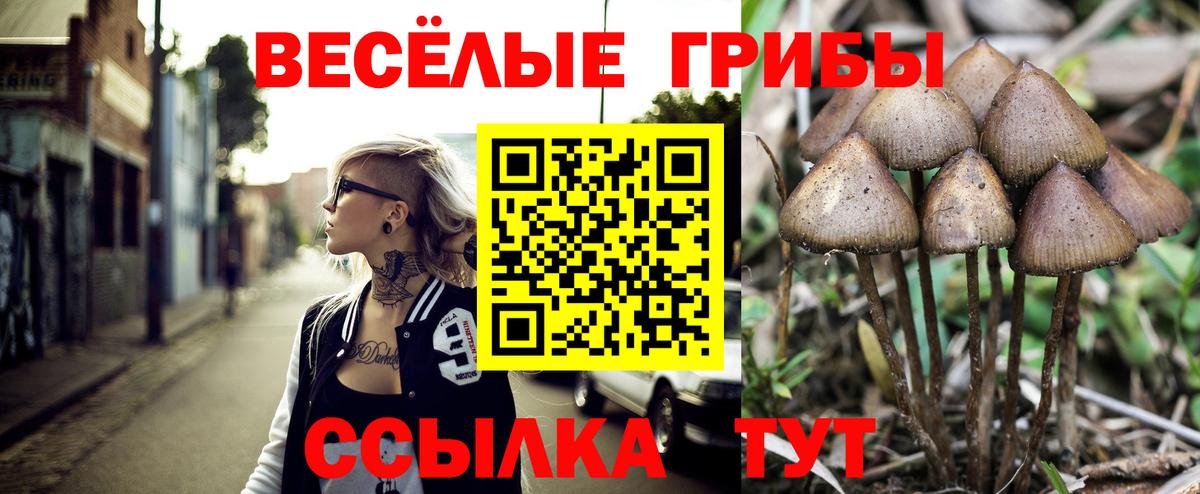 Галлюциногенные грибы GOLDEN TEACHER  Вход с VPN  Галлюциногенные грибы прущие грибы  где найти   Лесной 