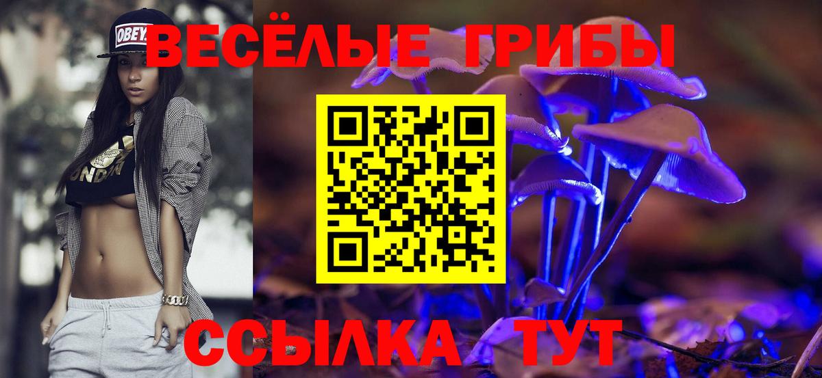 Псилоцибиновые грибы Cubensis Лесной