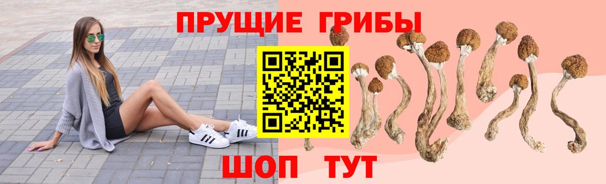 Псилоцибиновые грибы Magic Shrooms Лесной