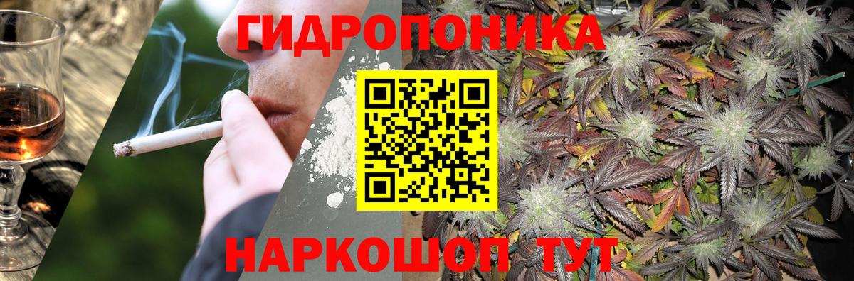 Марихуана индика  Вход с VPN  Лесной  Шишки марихуана VHQ 